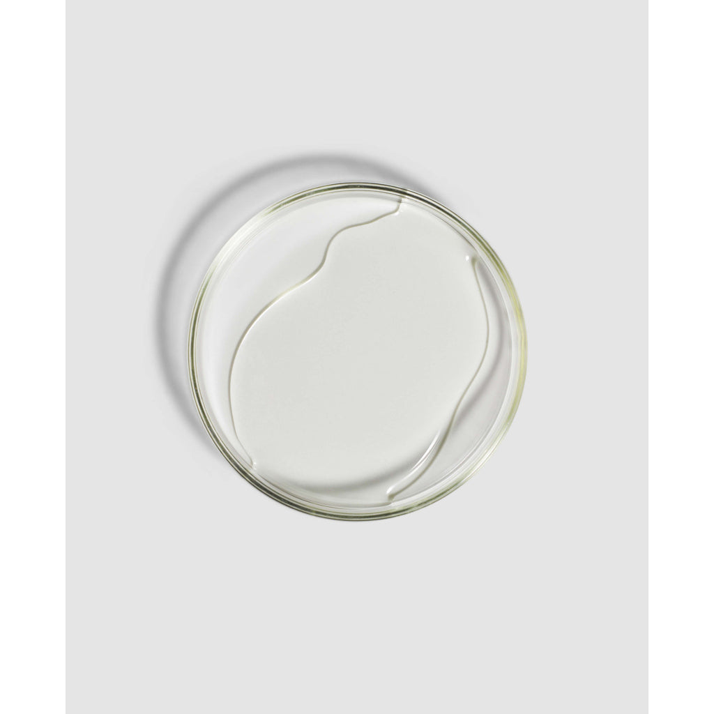 Clear glass plate with gold rim on a light gray background