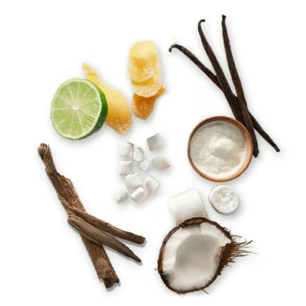 Collection of vanilla beans, lime, coconut, and other ingredients on a white background
